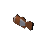 Clown Fish